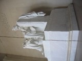 Washinton 085 
